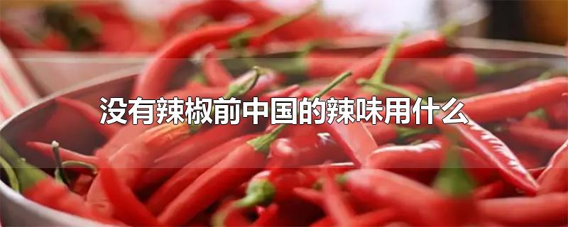 没有辣椒前中国的辣味用什么